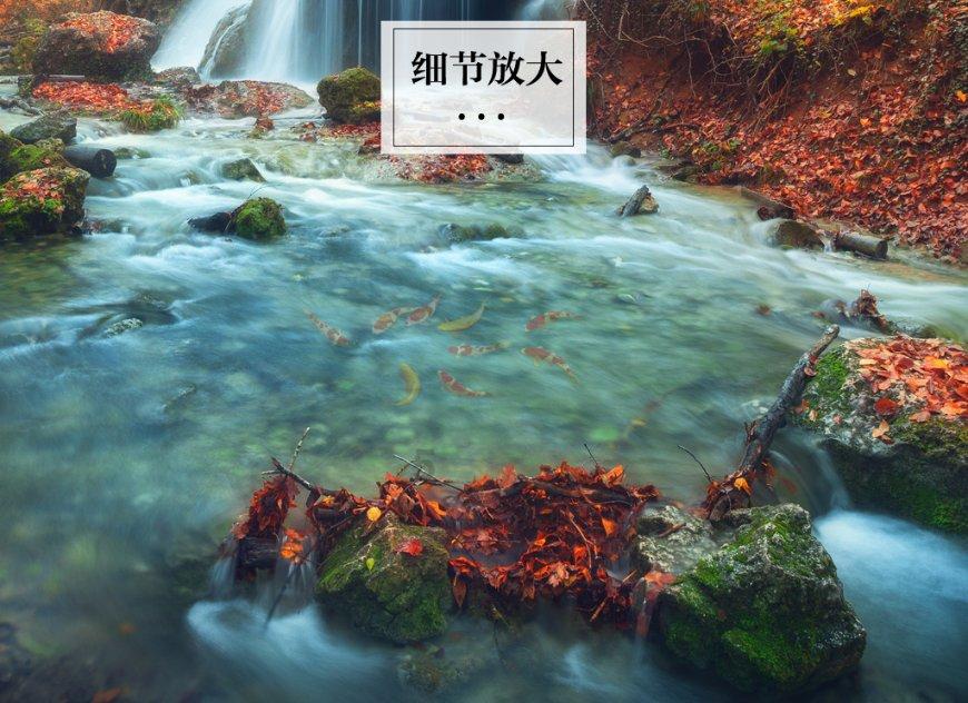 二十周年纪念 - 发表于2004年的15张最佳摇滚专辑,你听过多首?