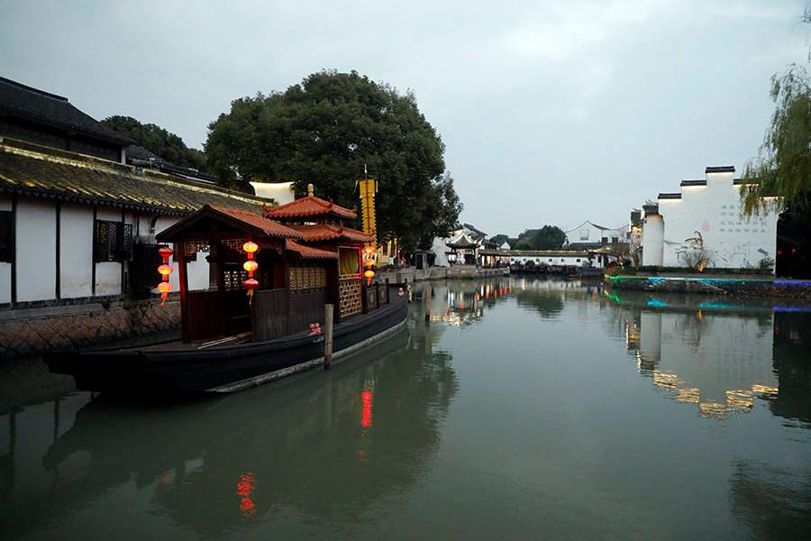 除虫大师